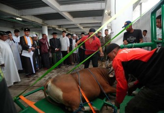Pj Gubernur Sulsel Prof Zudan Arif Fakrulloh menyaksikan penyembelihan hewan kurban 