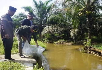Wabup Risnawanto Tebarkan 10.000 Benih Ikan Nila di Batang Gunung