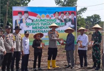 Polsek Belitang I Tanam Bibit Jagung Hibrida