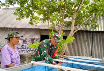 Babinsa Desa Duren Laksanakan Program Ketahanan Pangan di Bidang Perikanan