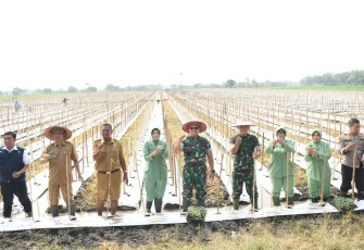 Kodim Madiun Tanam Melon di Lahan Seluas 2 Hektare