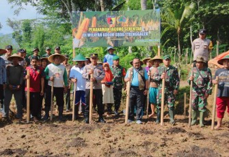 Kodim 0806/Trenggalek saat Tanam Jagung Serentak