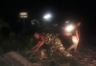 Curah hujan yang cukup tinggi serta angin kencang mengakibatkan sebuah pohon besar tumbang melintang ke Jalan raya di Jl. Supriyadi, Desa Kandangan, Kec. Ngawi Kab. Ngawi, Kamis (07/03/2024)