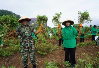 Pangdam Kasuari saat Penanaman serta Panen Kacang Tanah di Yonif 761/KA