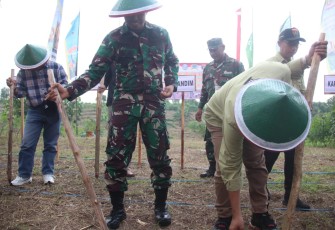 Dandim 0805/Ngawi Letkol Arm Didik Kurniawan saat tanam jagung, Minggu (3/3)
