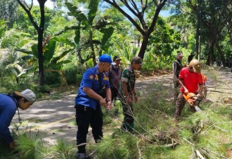 Penebangan pohon di wilayah binaan
