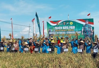 Panen raya padi di Kabupaten Ngawi