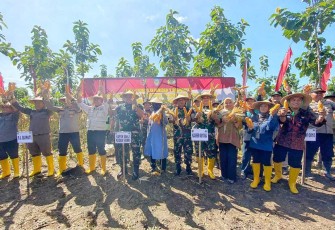 Panen raya jagung di Kabupaten Nganjuk 