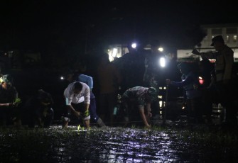 Tanam padi malam hari di Kabupaten Madiun