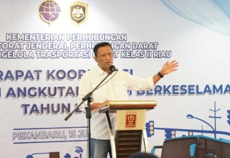 Dirjen Hubdat Risyapudin Nursin