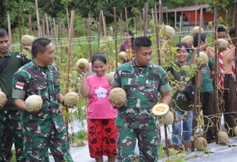 Dandim 1710/Mimika Pimpin Panen Melon di Lahan Kodim 