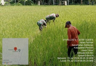 Pendampingan petani wilayah desa binaan 