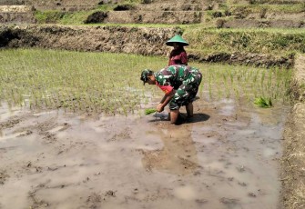 Pendampingan petani wilayah desa binaan 