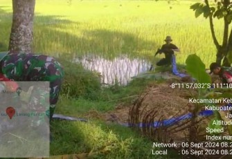Pendampingan petani wilayah desa binaan 