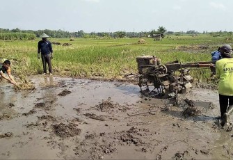 Pendampingan petani wilayah desa binaan 
