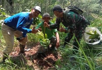 Tanam bibit pohon di wilayah Tulungagung 