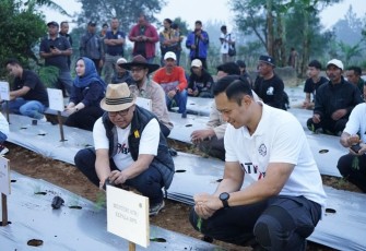 Menteri ATR/BPN Agus Harimurti Yudhoyono saat tanam asparagus 