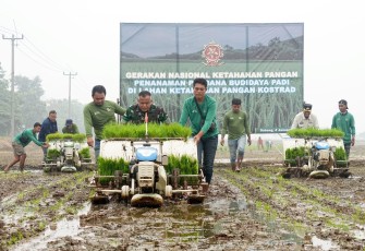 Panglima Kostrad (Pangkostrad) Letnan Jenderal TNI Muhammad Saleh Mustafa bersama Penjabat (Pj) Bupati Subang Dr. Drs. Imran, M.Si., MA.Cd melaksanakan kegiatan gerakan nasional ketahanan pangan, penanaman perdana budi daya padi di lahan ketahanan pangan Kostrad, bertempat di Ds.Sukamandi, Kec. Ciasem, Kab.Subang, Jawa Barat, Kamis (4/1/2024)