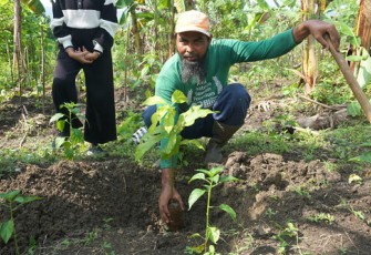 Ilustrasi Berita (LindungiHutan)