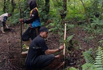 Penanaman pohon di kawasan wisata Jayagiri