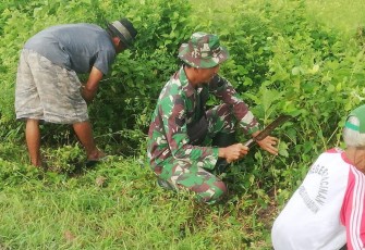 Anggota Koramil 0803/03 Balerejo Bersama Warga Gelar Karya Bakti Bersihkan lingkungan dan Saluran Irigasi