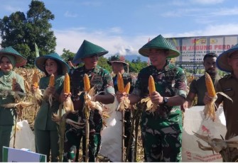 Kasdam XIII Merdeka Brigjen TNI Yustinus Nono Yulianto, S.E., M.Si bersama Danrem 131/Stg, Brigjen TNI Martin Susilo Martopo Turnip, S.H.,M.H dan  Dandim 1310/Bitung Letkol Czi Hanif Tupen, S.T.,M.I.P beserta para pejabat teras Kodam dan Korem saat melaksanakan panen jagung perdana di hanpangan binaan Kodim 1310/Bitung