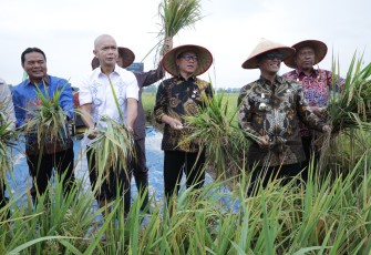 Menteri Desa dan Pembangunan Daerah Tertinggal (Mendes PDT) Yandri Susanto melakukan Panen Raya dan Tanam Bersama di Desa Tempuran, Kecamatan Trimurjo, Kabupaten Lampung Tengah, Provinsi Lampung, Kamis (14/8/2025)