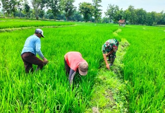Empat Satuan Jajaran Korem 081/DSJ Lampaui Target LTT