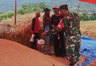 Kawal Program Sergab, Upaya Babinsa Kodim Ponogogo Sukseskan Han Pangan