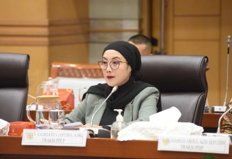 Anggota Komisi VIII DPR RI Selly Andriany Gantina