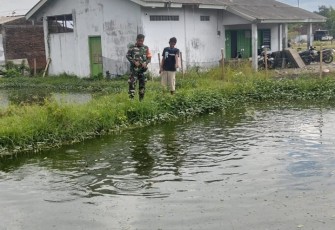 Babinsa Purworejo Dorong Peningkatan Ekonomi Warga Lewat Budidaya Ikan Patin