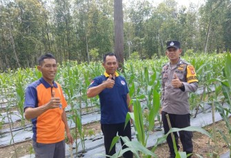 Bhabinkamtibmas Polsek Belitang III Laksanakan Pendampingan