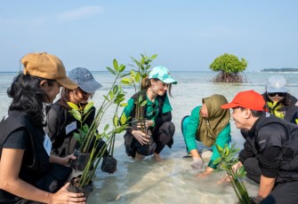 Ilustrasi Berita (LindungiHutan)