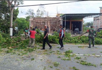 Tebang pohon di wilayah desa binaan 