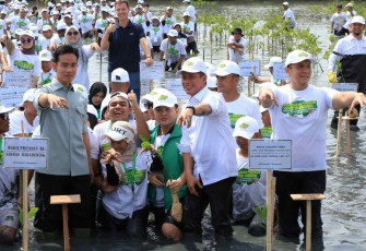 Wapres RI Gibran Rakabuming saat tanam mangrove 