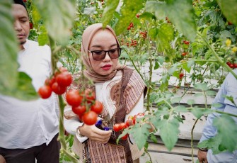 Wamenkop Farida Farichah 