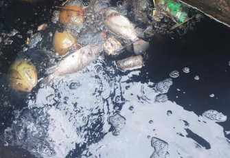 Situasi terkini Situ Bahar dengan bangkai ikan, sampah dan air hitam, Selasa (18/11)