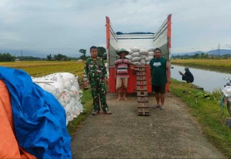 Bulog serap gabah petani desa binaan 