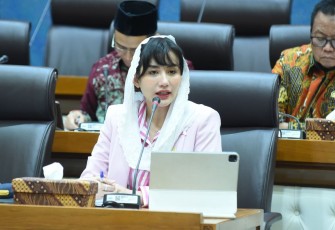 Anggota Komisi VII DPR RI, Novita Hardini