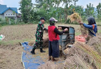 Bantu panen padi warga binaan
