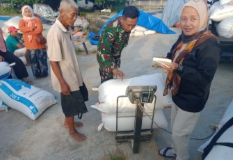 Babinsa Desa Jeli dan Gedangan Dampingi Bulog Serap 7,5 Ton Gabah Petani