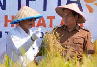 Menteri Pekerjaan Umum (PU) Dody Hanggodo