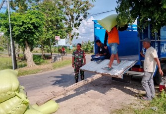 Babinsa Desa Gandul Dampingi Sergab Bulog Sebanyak 10 Ton