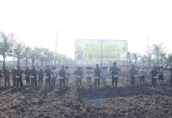 Danrem 121/ABW Tanam Padi di Kabupaten Mempawah 