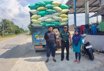 Penyerapan gabah petani desa binaan 