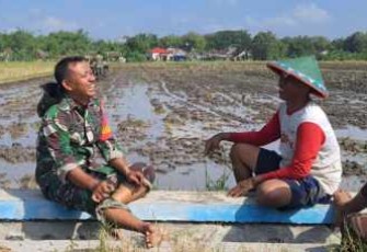 TNI bersama petani wilayah desa binaan 