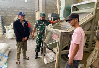 Sertu Risnoto Babinsa Balearjosari pantau pengeringan gabah petani 