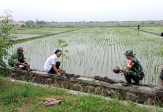 Pendampingan Poktan wilayah desa binaan 