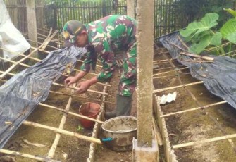 Budidaya cacing ANC