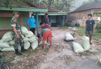 Babinsa Koramil 0801/03 Arjosari Terjun Lapangan Pastikan Harga Gabah Petani Sesuai Standar